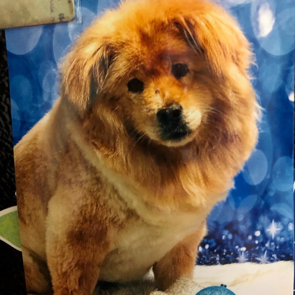 Meet your Posher, Cheri